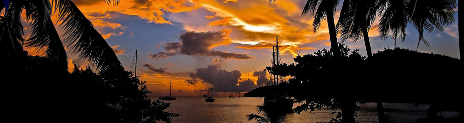 Day Cruise - Lunch and Sunset Sail