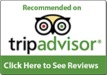 TripAdvisor